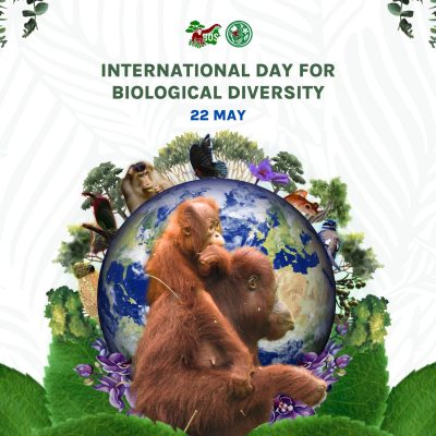 INTERNATIONAL DAY FOR BIOLOGICAL DIVERSITY 2024